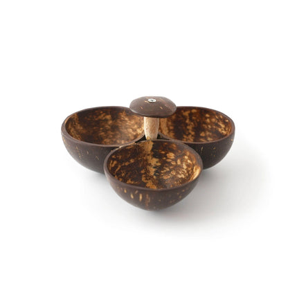 Coconut Shell 3 Bowl Serveware - iROCHiBowl