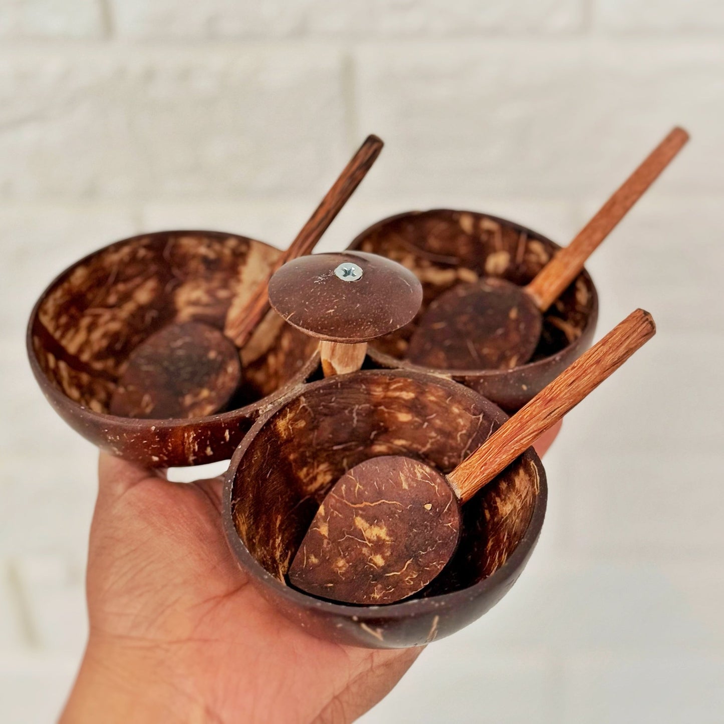 Coconut Shell 3 Bowl Serveware - iROCHiBowl