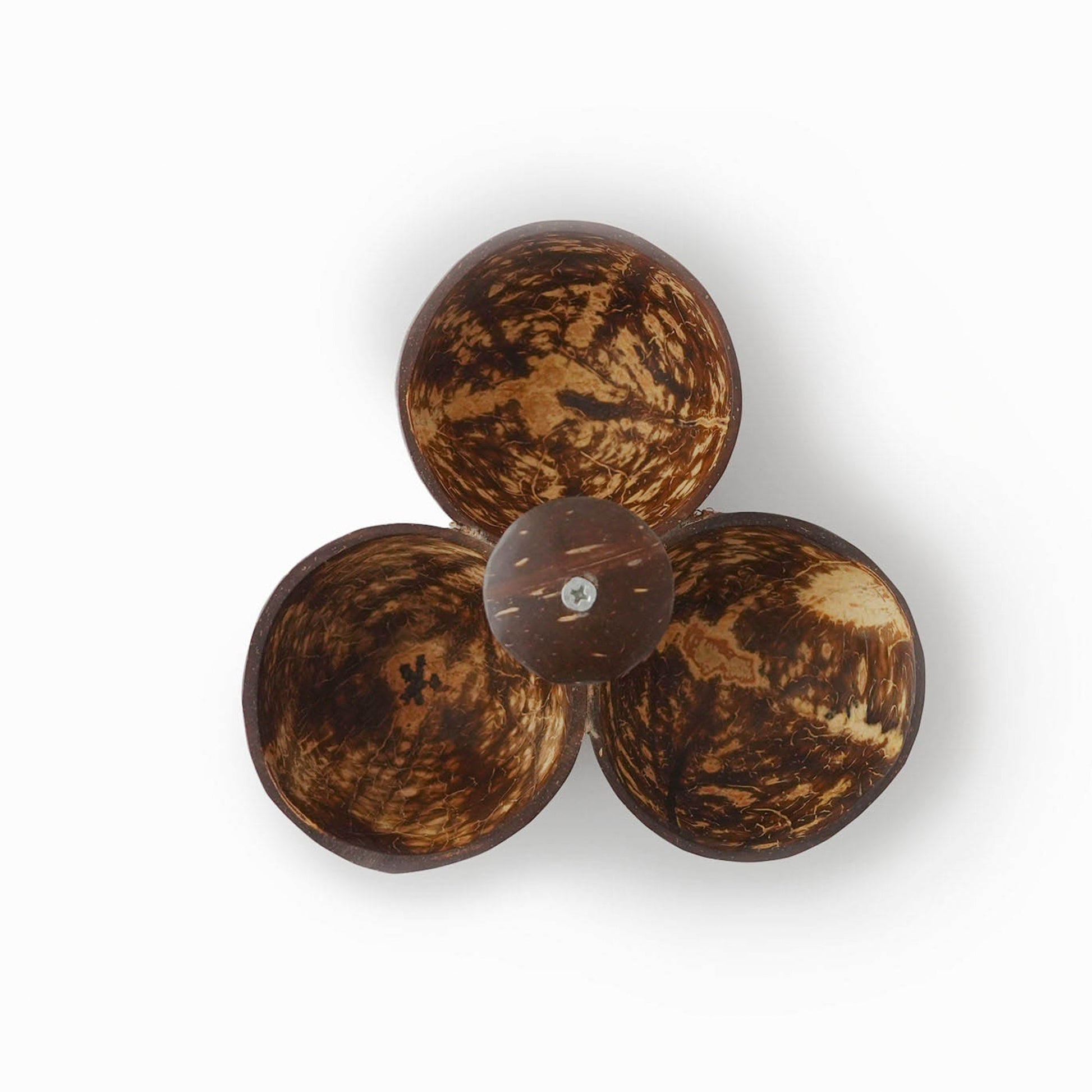 Coconut Shell 3 Bowl Serveware - iROCHiBowl