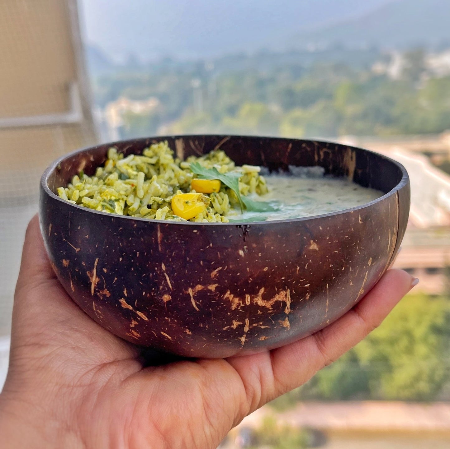 Coconut Shell Bowl 500ml - iROCHiBowl