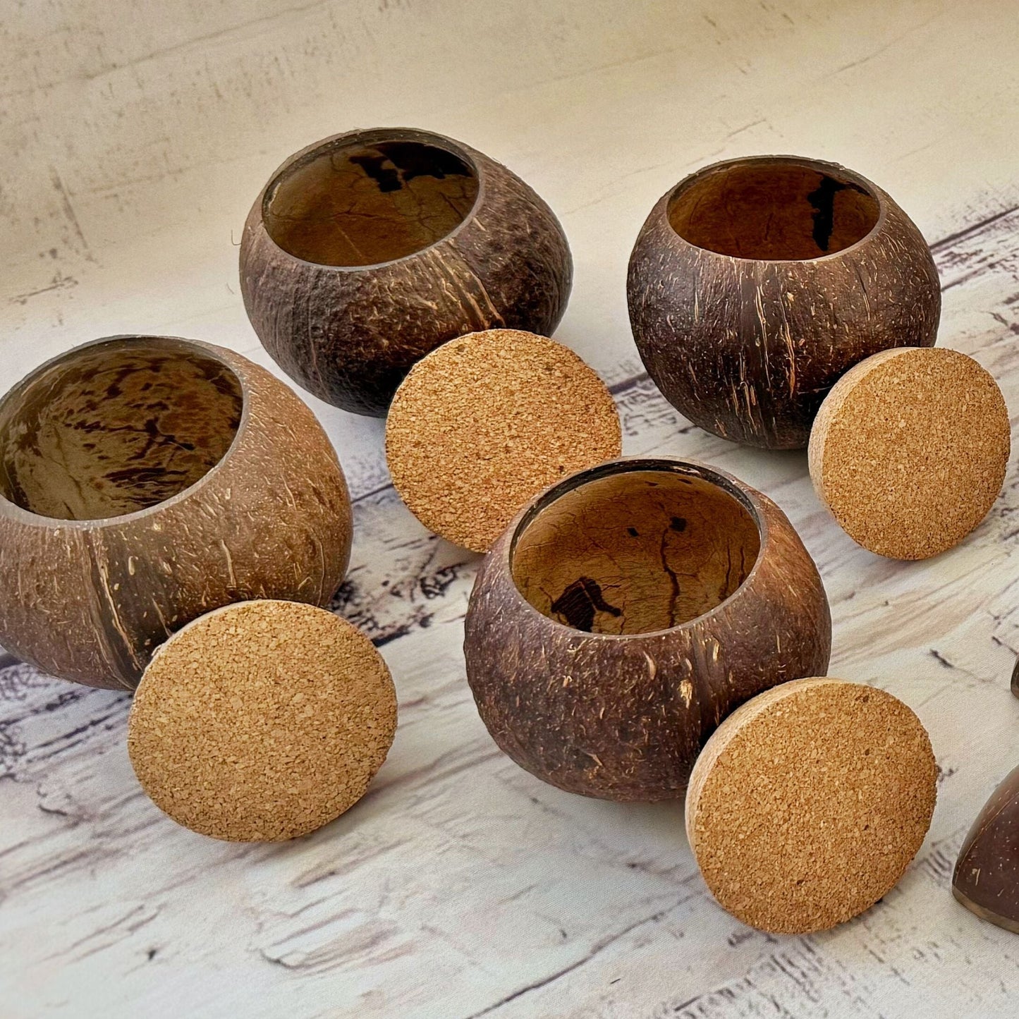 Handcrafted Coconut Shell Jar - Eco - Friendly Storage - iROCHiJar