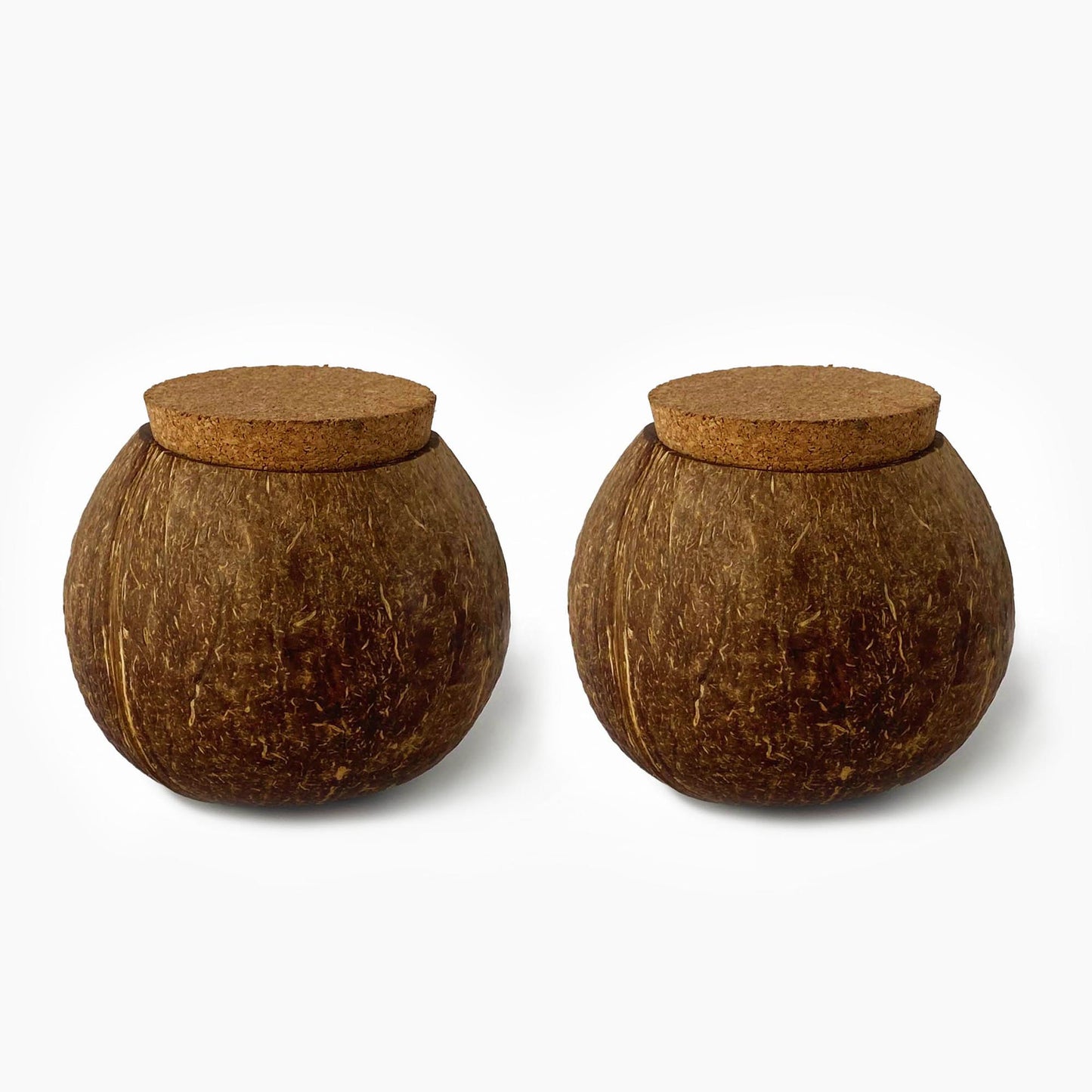 Handcrafted Coconut Shell Jar - Eco - Friendly Storage - iROCHiJar