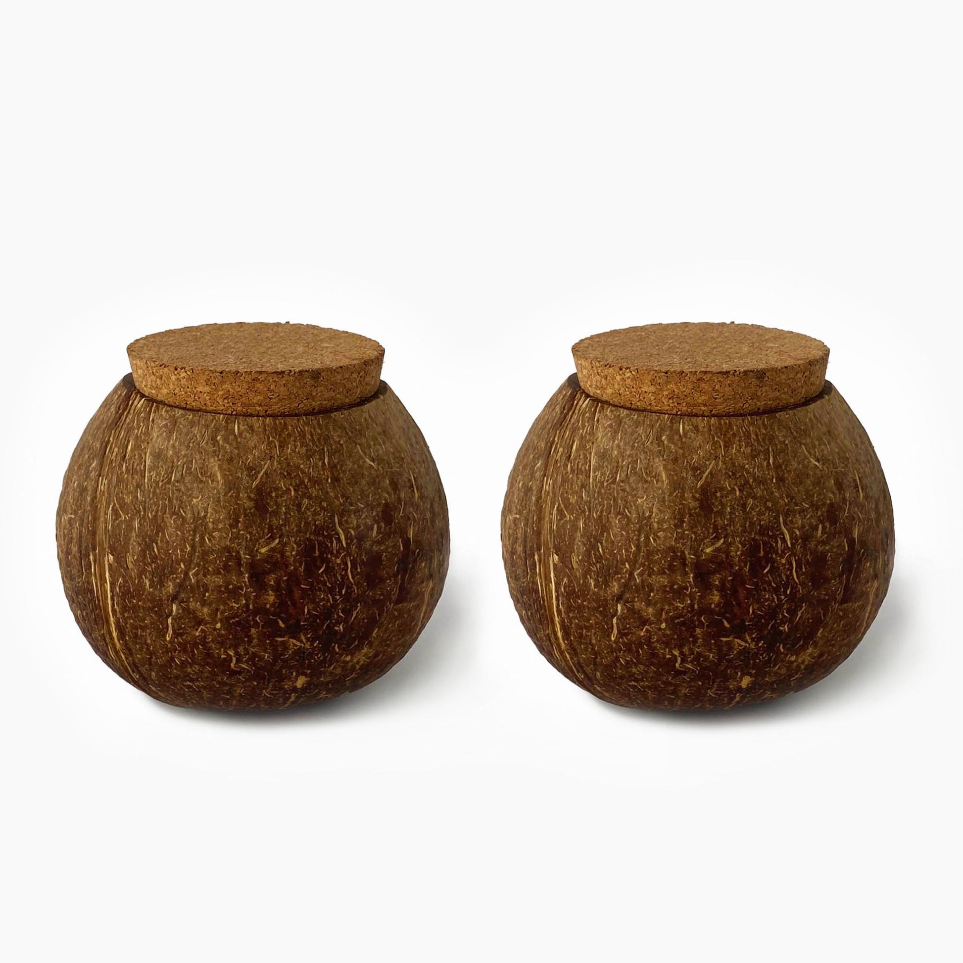 Handcrafted Coconut Shell Jar - Eco - Friendly Storage - iROCHiJar